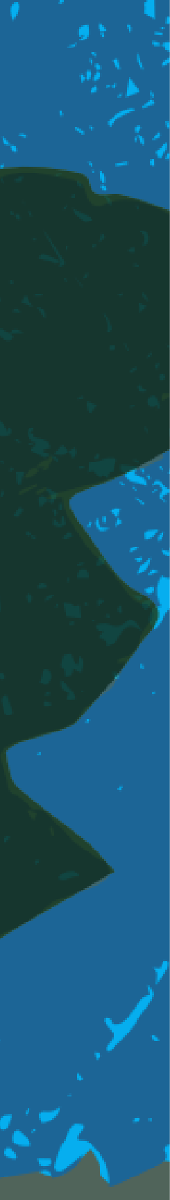 side snippet images dark blue