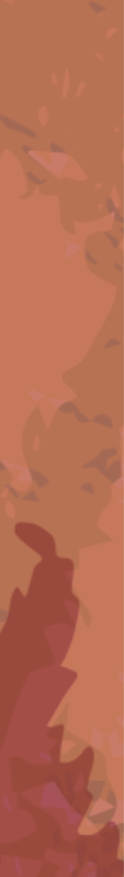 side snippet images orange