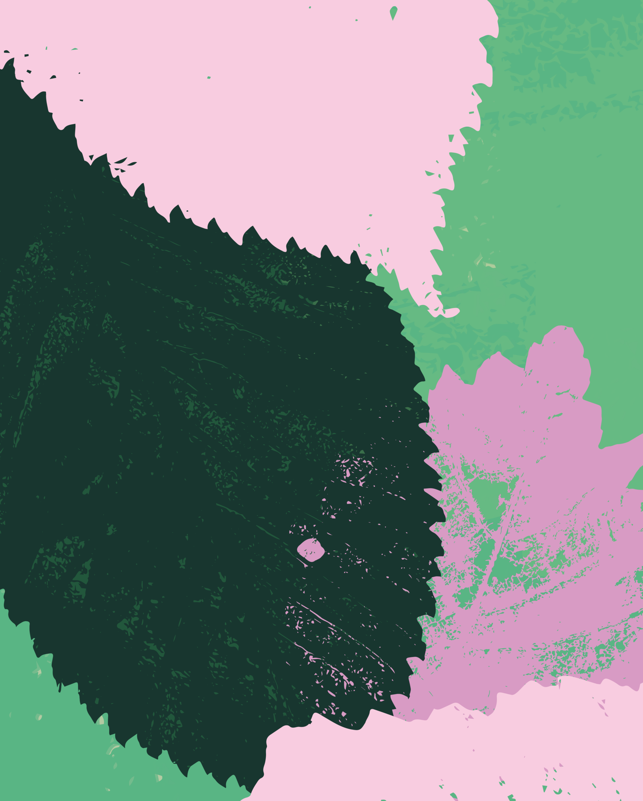 spring 2026 season image